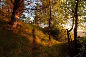 Zapad slnka les Sulovske vrchy